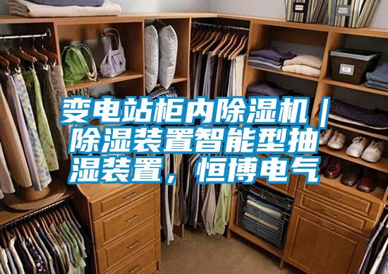 變電站柜內除濕機｜除濕裝置智能型抽濕裝置，恒博電氣