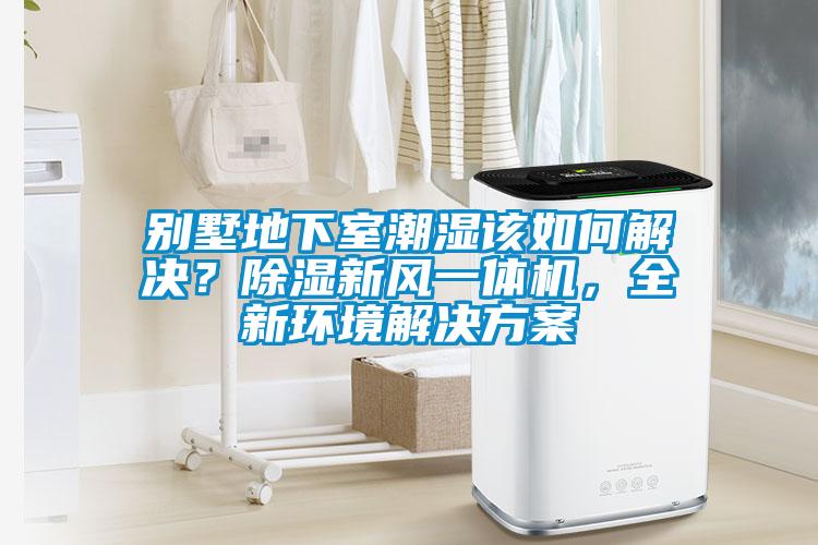 別墅地下室潮濕該如何解決？除濕新風一體機，全新環境解決方案