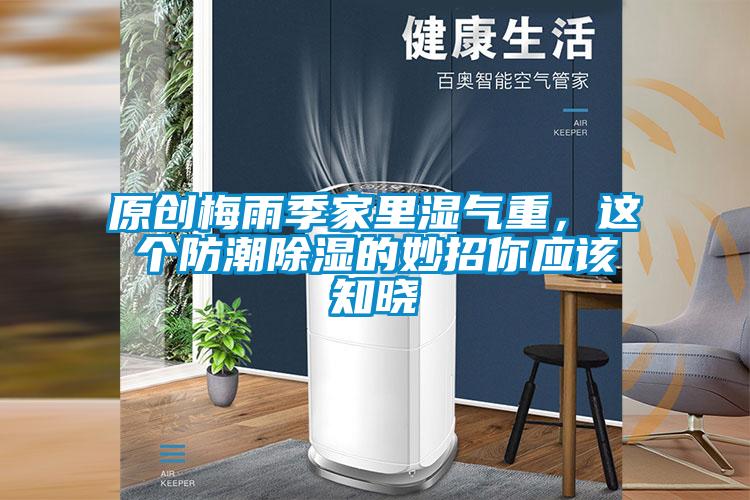 原創梅雨季家里濕氣重，這個防潮除濕的妙招你應該知曉