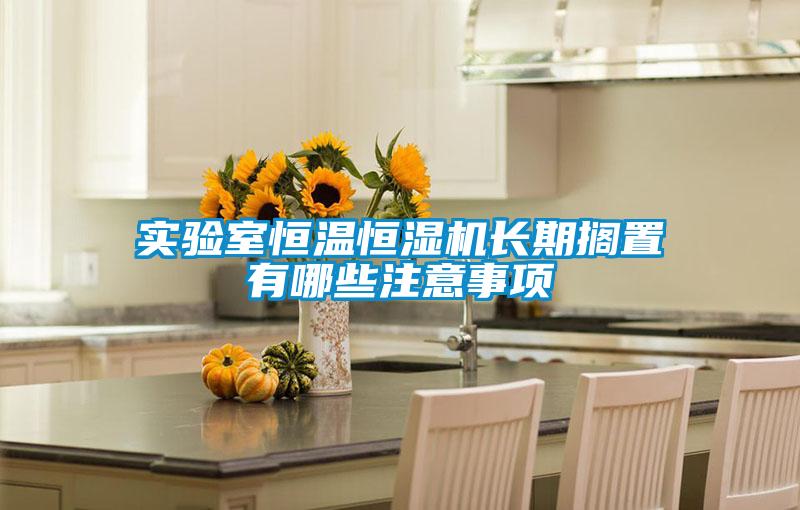 實(shí)驗(yàn)室恒溫恒濕機(jī)長期擱置有哪些注意事項(xiàng)