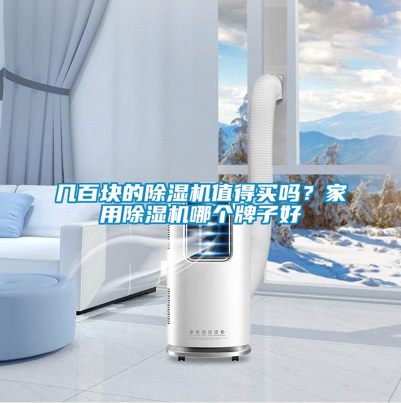 幾百塊的除濕機(jī)值得買嗎？家用除濕機(jī)哪個牌子好