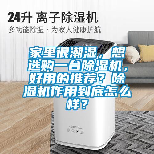 家里很潮濕，想選購一臺除濕機，好用的推薦？除濕機作用到底怎么樣？