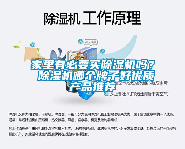 家里有必要買除濕機嗎？ 除濕機哪個牌子好優質產品推薦