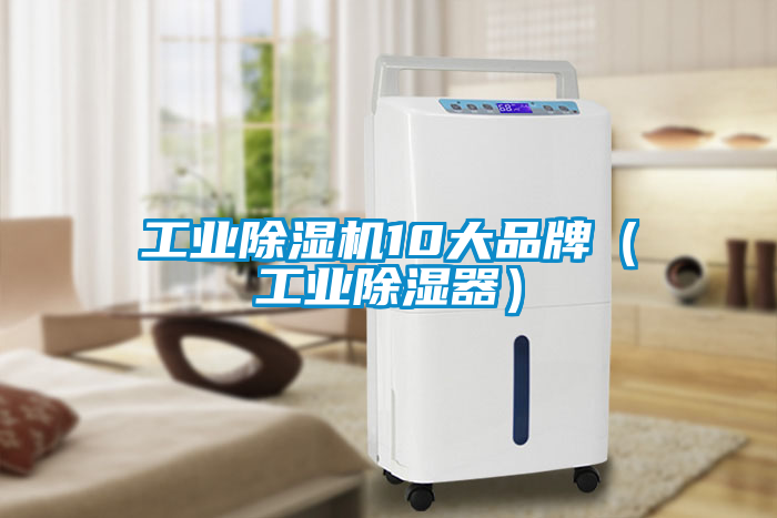 工業(yè)除濕機10大品牌（工業(yè)除濕器）