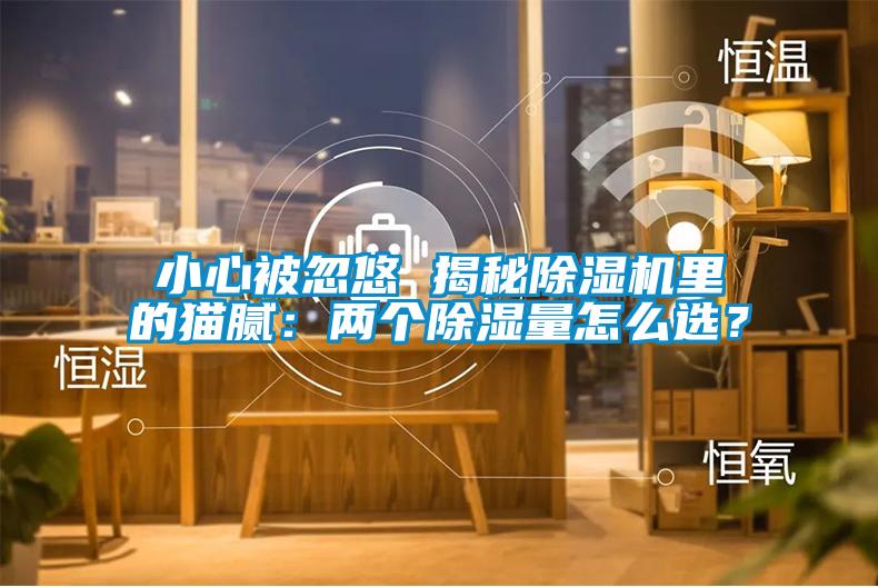 小心被忽悠 揭秘除濕機里的貓膩：兩個除濕量怎么選？