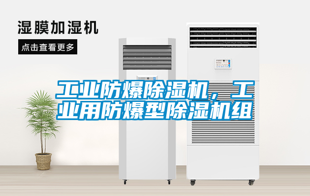 工業(yè)防爆除濕機(jī)，工業(yè)用防爆型除濕機(jī)組