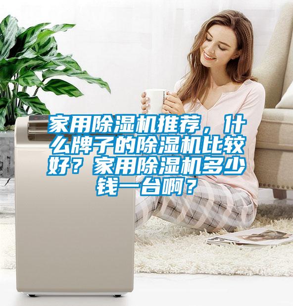 家用除濕機(jī)推薦，什么牌子的除濕機(jī)比較好？家用除濕機(jī)多少錢(qián)一臺(tái)啊？