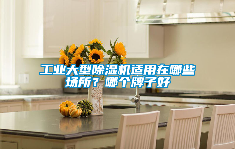 工業大型除濕機適用在哪些場所？哪個牌子好