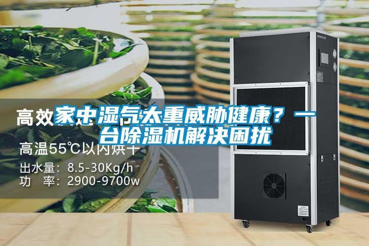 家中濕氣太重威脅健康？一臺除濕機解決困擾