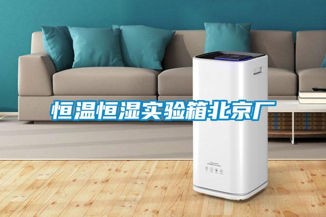 恒溫恒濕實(shí)驗(yàn)箱北京廠(chǎng)