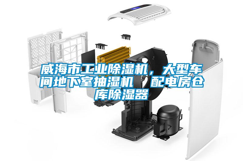 威海市工業(yè)除濕機(jī)，大型車(chē)間地下室抽濕機(jī)  配電房倉(cāng)庫(kù)除濕器