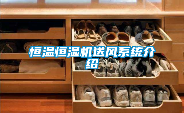恒溫恒濕機(jī)送風(fēng)系統(tǒng)介紹