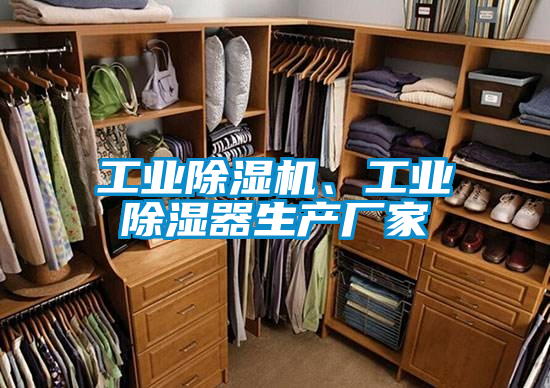 工業(yè)除濕機、工業(yè)除濕器生產(chǎn)廠家