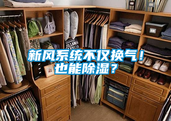 新風系統不僅換氣！也能除濕？