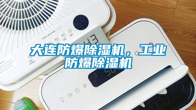 大連防爆除濕機，工業防爆除濕機