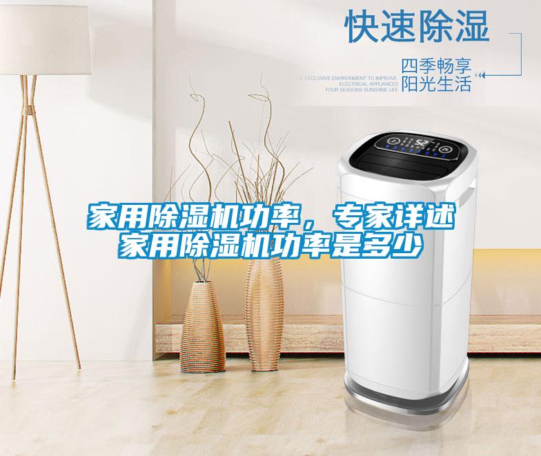 家用除濕機功率，專家詳述家用除濕機功率是多少