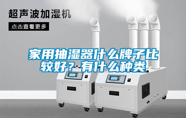 家用抽濕器什么牌子比較好？有什么種類