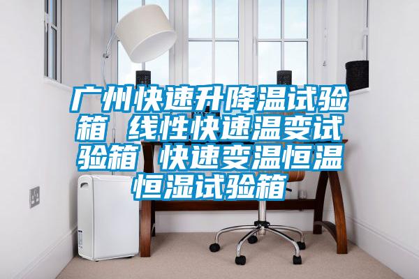 廣州快速升降溫試驗(yàn)箱 線性快速溫變?cè)囼?yàn)箱 快速變溫恒溫恒濕試驗(yàn)箱