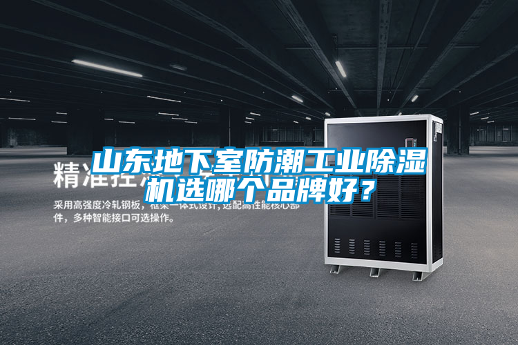 山東地下室防潮工業除濕機選哪個品牌好？