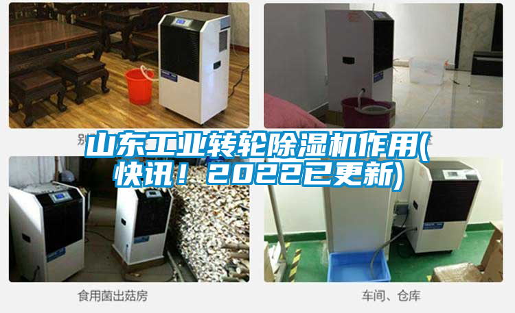 山東工業(yè)轉(zhuǎn)輪除濕機(jī)作用(快訊！2022已更新)