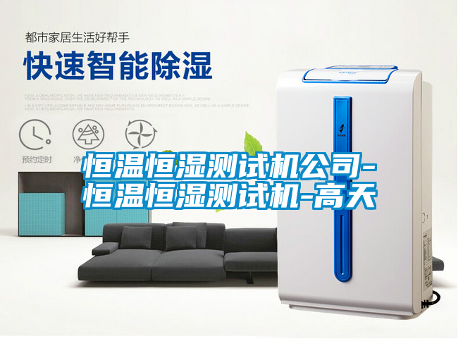 恒溫恒濕測試機(jī)公司-恒溫恒濕測試機(jī)-高天