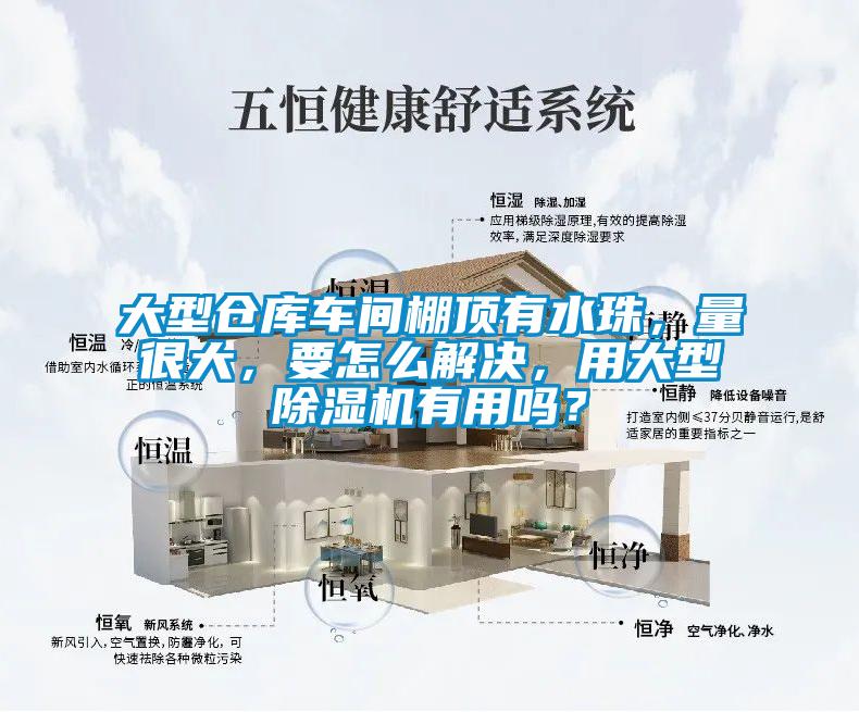 大型倉(cāng)庫(kù)車(chē)間棚頂有水珠，量很大，要怎么解決，用大型除濕機(jī)有用嗎？