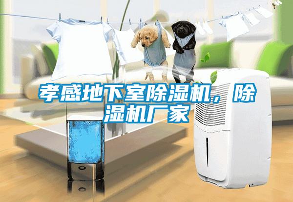 孝感地下室除濕機，除濕機廠家