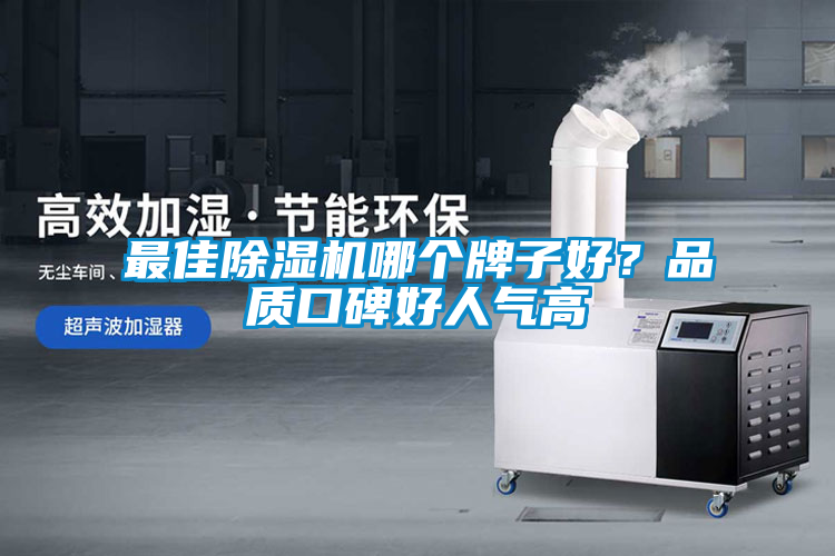 最佳除濕機哪個牌子好？品質口碑好人氣高