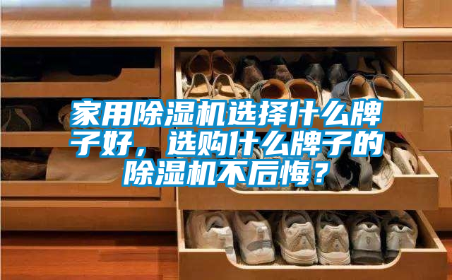 家用除濕機選擇什么牌子好，選購什么牌子的除濕機不后悔？