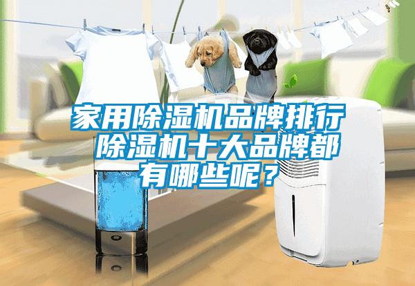 家用除濕機(jī)品牌排行 除濕機(jī)十大品牌都有哪些呢？