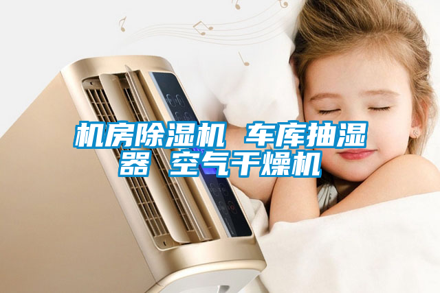 機(jī)房除濕機(jī) 車庫(kù)抽濕器 空氣干燥機(jī)