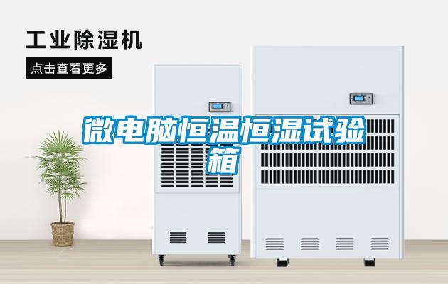 微電腦恒溫恒濕試驗(yàn)箱
