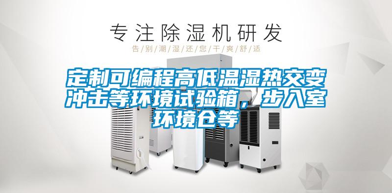 定制可編程高低溫濕熱交變沖擊等環(huán)境試驗箱，步入室環(huán)境倉等