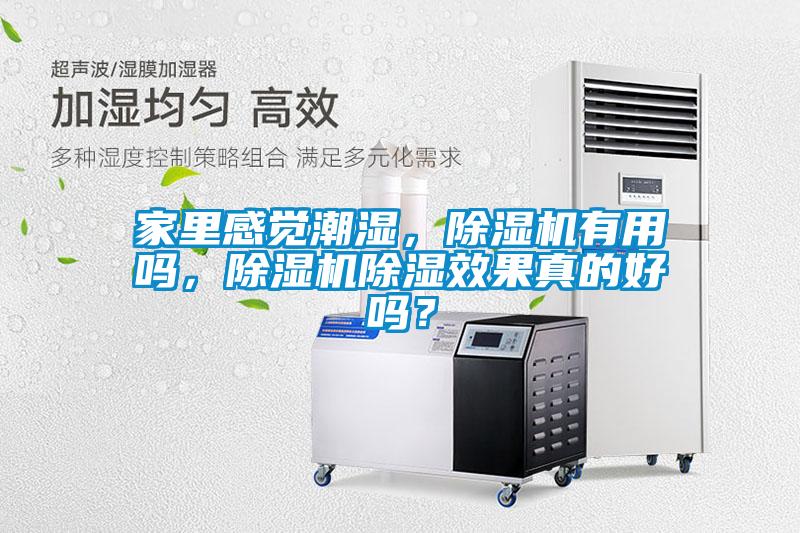 家里感覺潮濕，除濕機有用嗎，除濕機除濕效果真的好嗎？