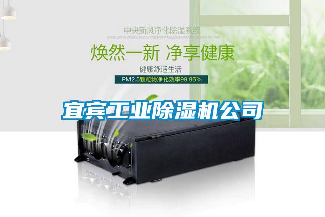 宜賓工業(yè)除濕機公司