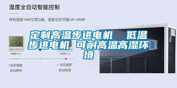 定制高溫步進(jìn)電機(jī)  低溫步進(jìn)電機(jī) 可耐高溫高濕環(huán)境