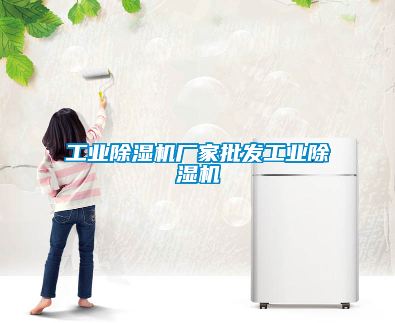 工業(yè)除濕機(jī)廠家批發(fā)工業(yè)除濕機(jī)