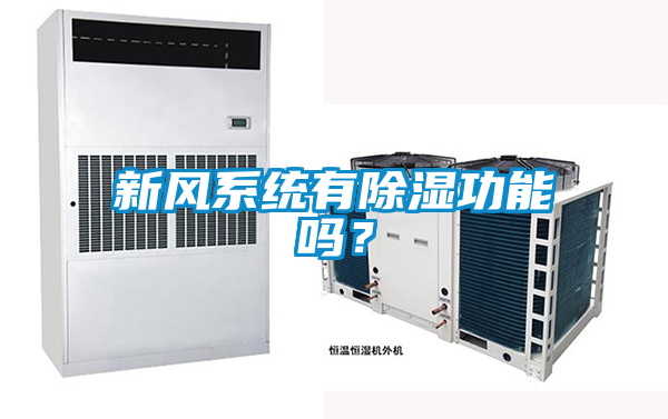 新風系統有除濕功能嗎？
