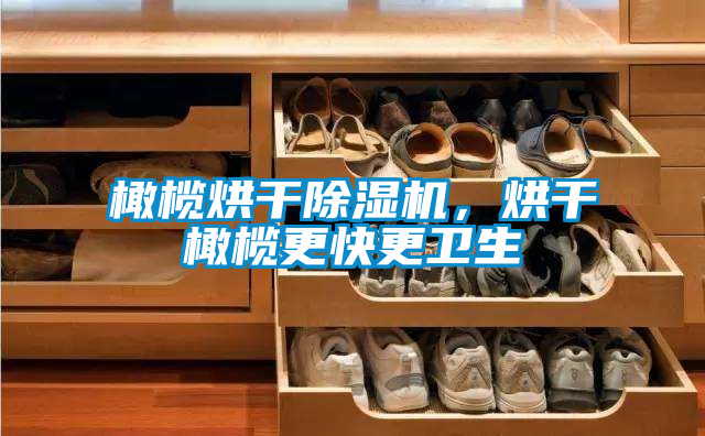 橄欖烘干除濕機，烘干橄欖更快更衛(wèi)生