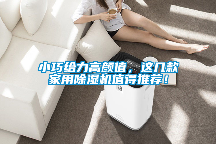 小巧給力高顏值，這幾款家用除濕機(jī)值得推薦！