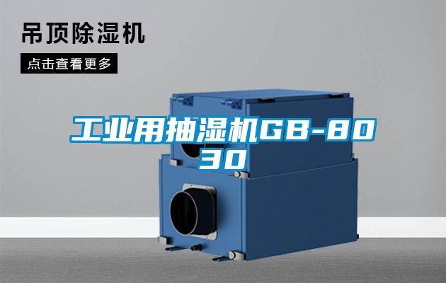 工業(yè)用抽濕機GB-8030
