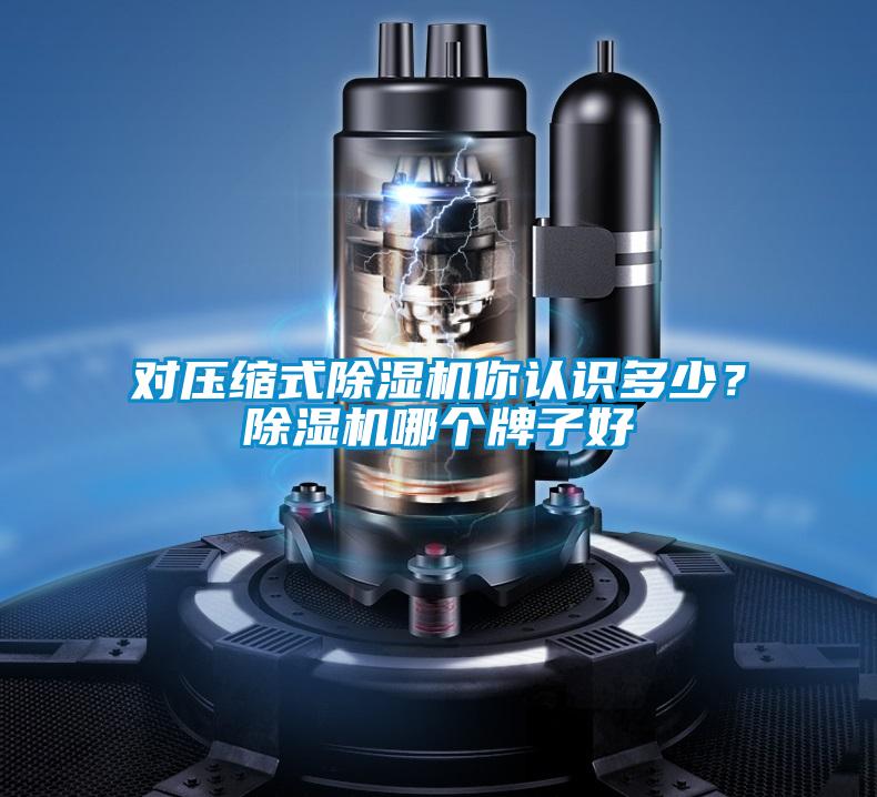 對壓縮式除濕機你認識多少？除濕機哪個牌子好