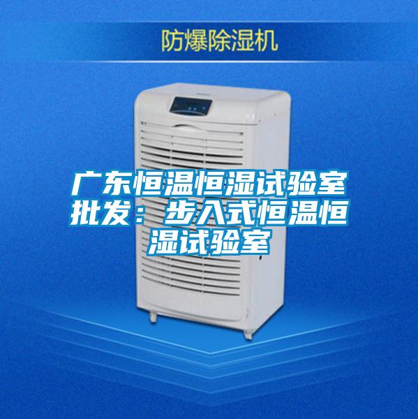 廣東恒溫恒濕試驗(yàn)室批發(fā)：步入式恒溫恒濕試驗(yàn)室