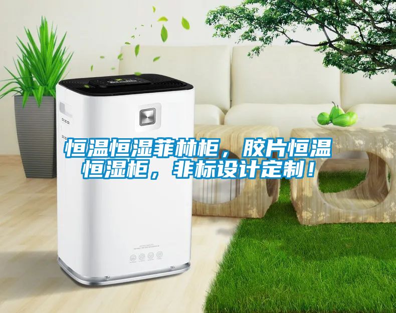 恒溫恒濕菲林柜，膠片恒溫恒濕柜，非標設(shè)計定制！