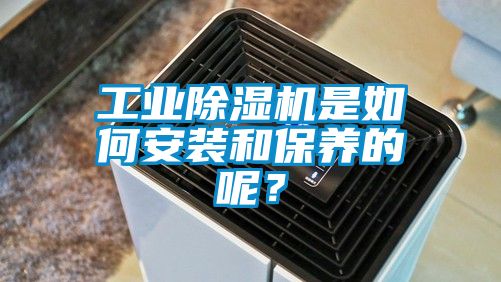工業(yè)除濕機(jī)是如何安裝和保養(yǎng)的呢？