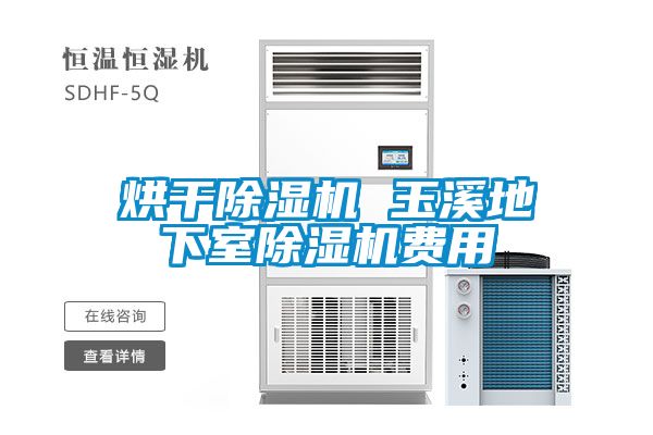 烘干除濕機(jī) 玉溪地下室除濕機(jī)費(fèi)用