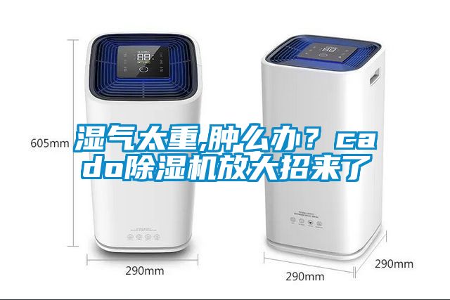 濕氣太重,腫么辦？cado除濕機(jī)放大招來了