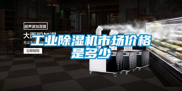 工業(yè)除濕機市場價格是多少