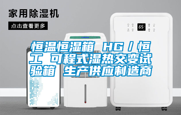 恒溫恒濕箱 HG／恒工 可程式濕熱交變試驗箱 生產(chǎn)供應(yīng)制造商