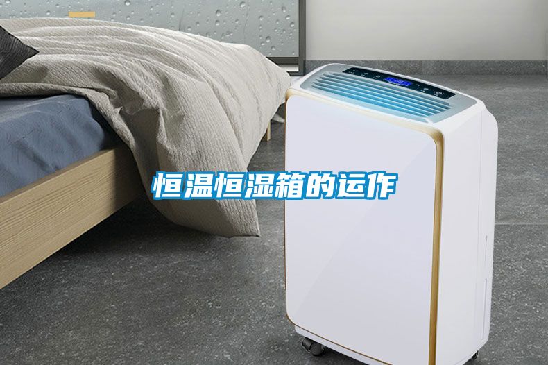 恒溫恒濕箱的運(yùn)作